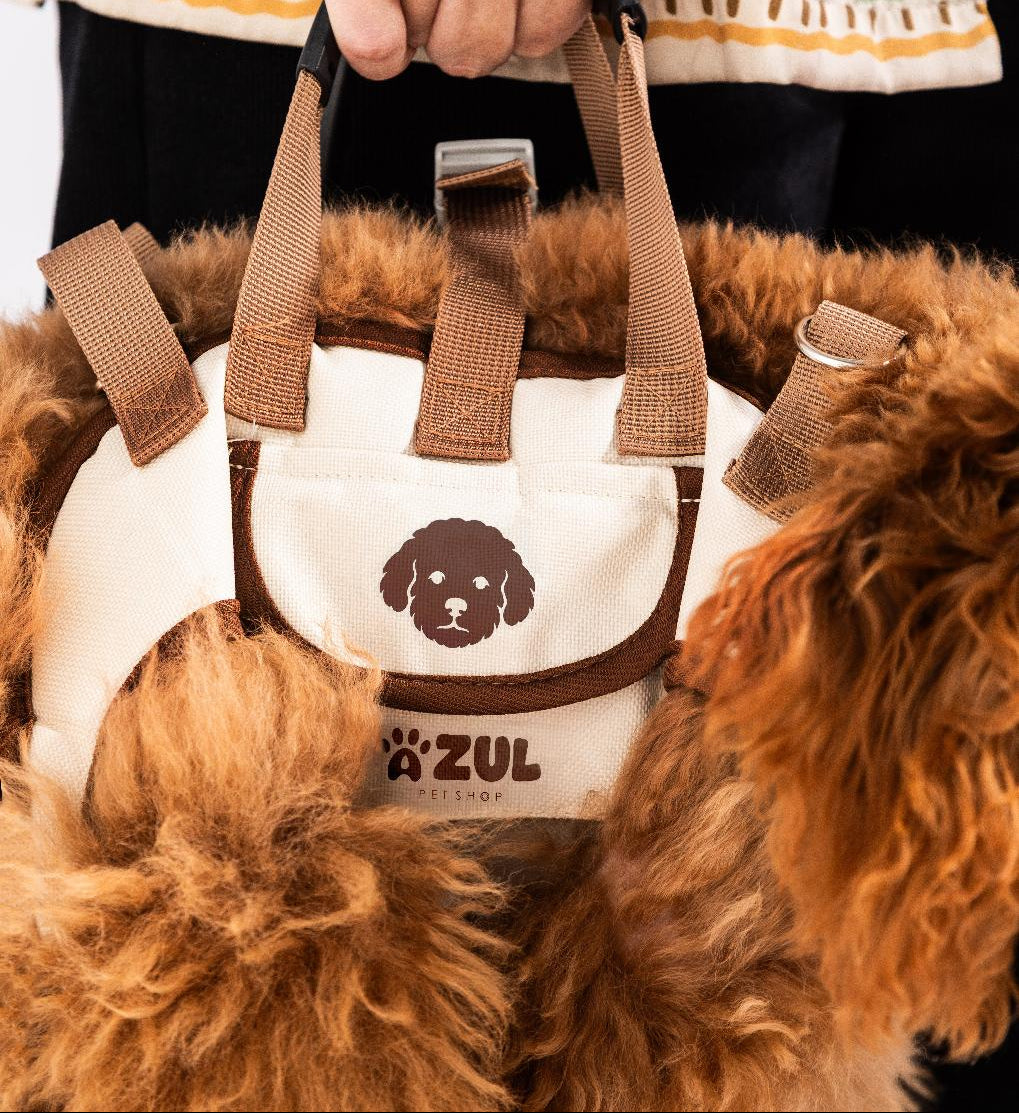 Fashionable Outdoor Portable Breathable Multi-Functional Cat & Dog Bag Harness