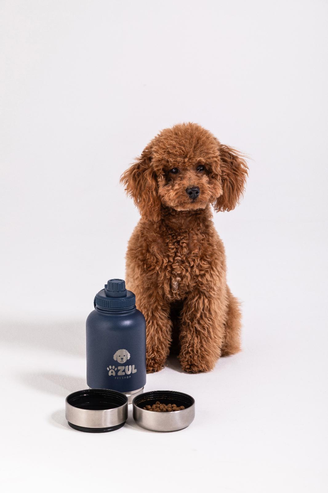 Stainless Steel Water Bottle with 2 Bowls