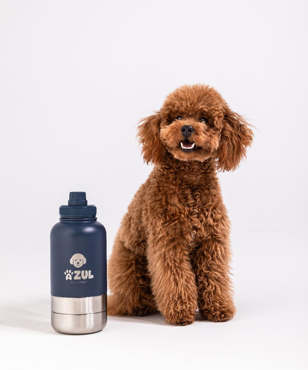 Stainless Steel Water Bottle with 2 Bowls