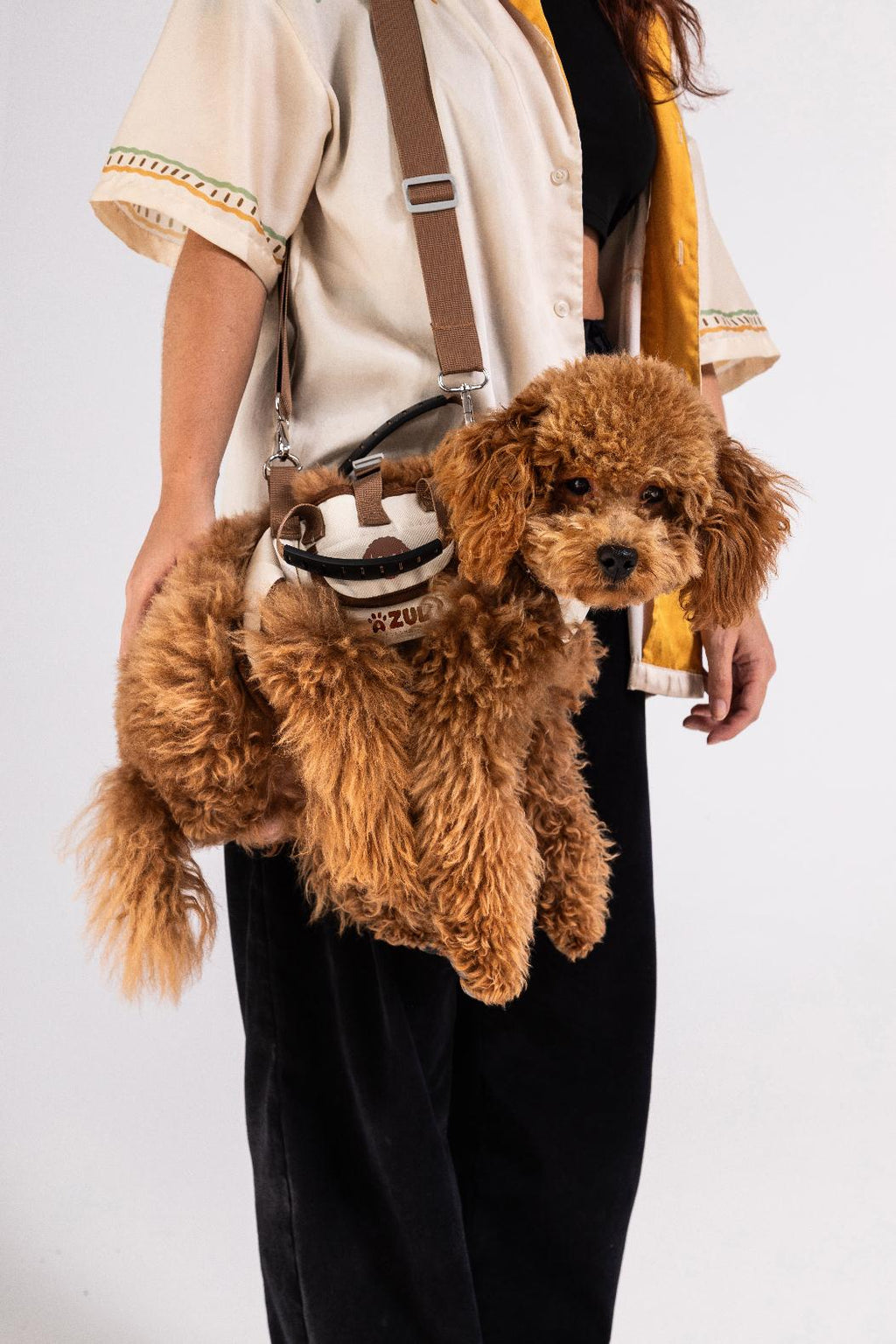 Fashionable Outdoor Portable Breathable Multi-Functional Cat & Dog Bag Harness