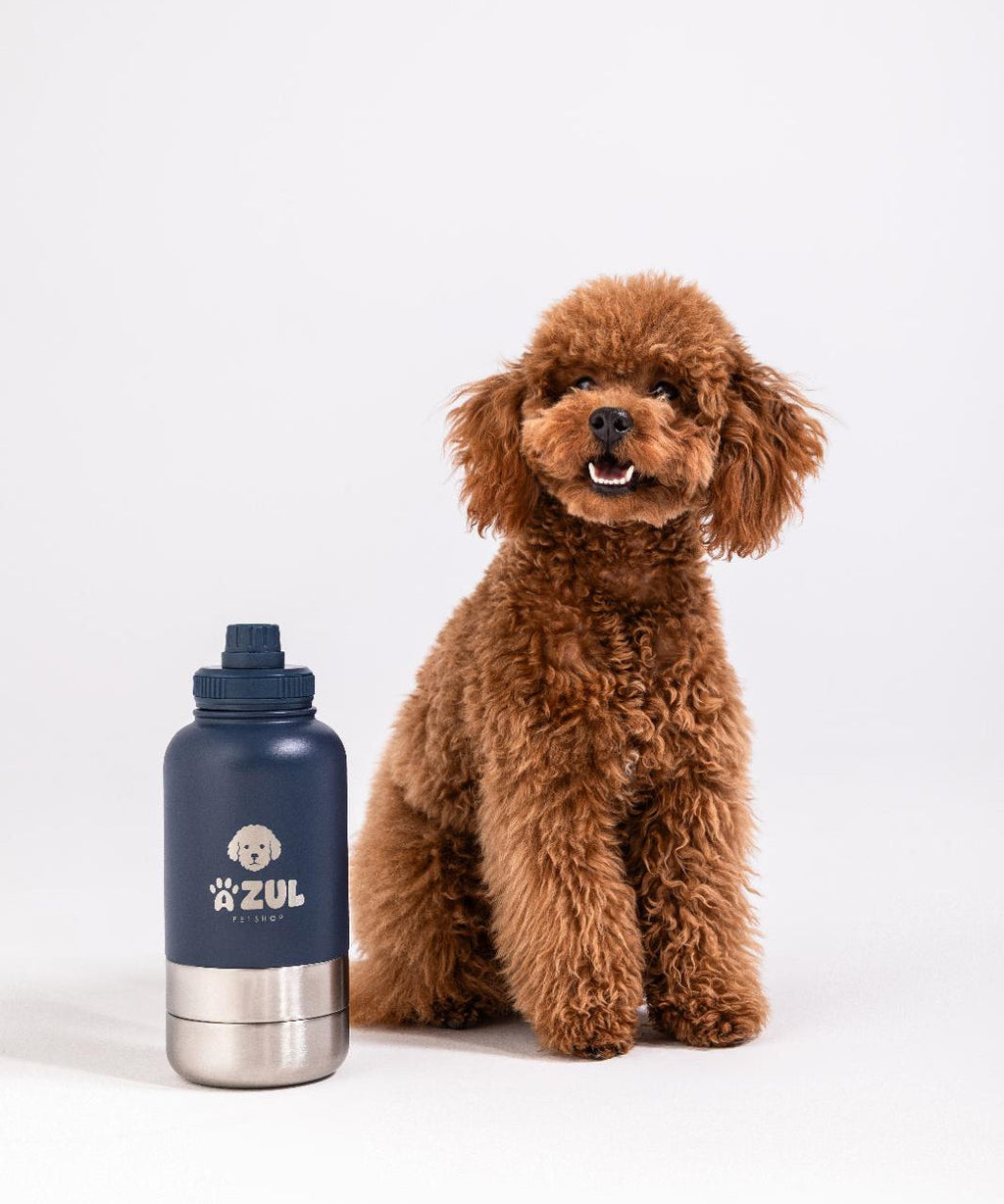 Stainless Steel Water Bottle with 2 Bowls