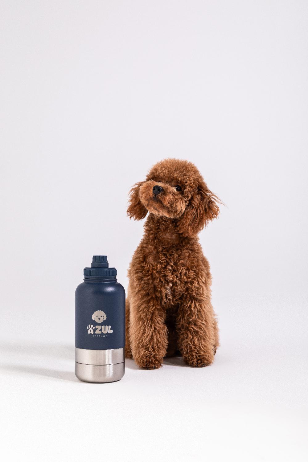 Stainless Steel Water Bottle with 2 Bowls